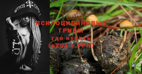 гидра Алзамай