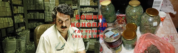 сатива Алексин
